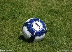 叶城县,宝叶杯,迎乡学子篮,RAYBET雷竞技,RAYBET雷竞技官网,RAYBET雷竞技入口,RAYBET雷竞技首页