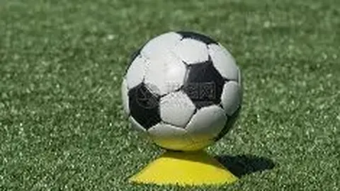 RAYBET雷竞技官网 资讯 133425 mc4